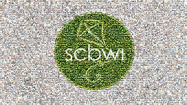 Welcome to SCBWI